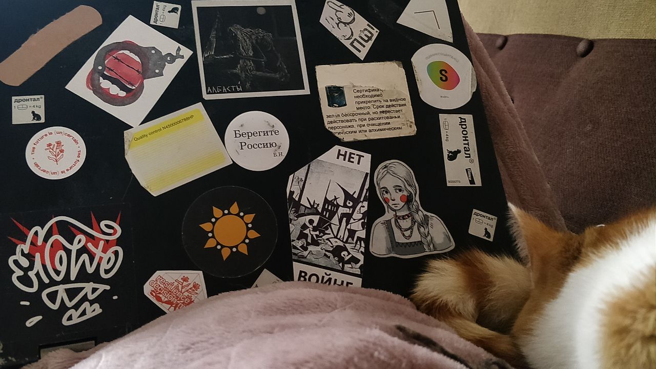 Photo of a laptop lid with lots of stickers with text in Russian and English. A ginger cat is also visible in the photo.